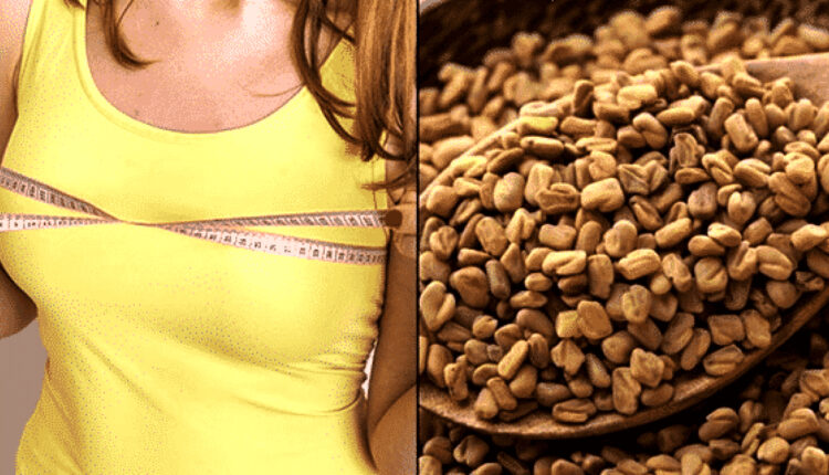 متى تظهر نتائج شرب الحلبه للتسمين